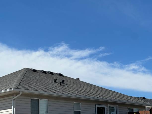 Best Chimney Flashing Repair  in Eaton, OH